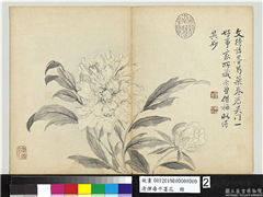 清恽寿平墨花　册　芍药,绘画,花草