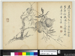 清恽寿平墨花　册　石榴,绘画,花草