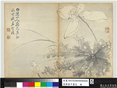 清恽寿平墨花　册　荷花,绘画,花草
