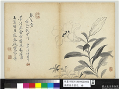 清恽寿平墨花　册　百合花,绘画,花草