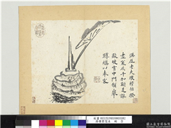 清传綮写生　册　芋,绘画,果蔬