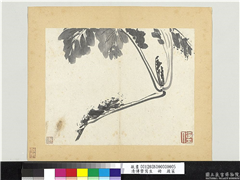 清传綮写生　册　蔬菜,绘画,果蔬