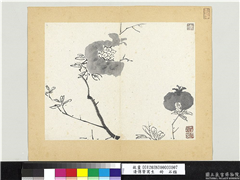 清传綮写生　册　石榴,绘画,花草