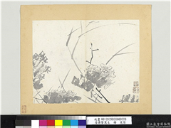 清传綮写生　册　芙蓉,绘画,花草