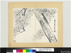 清传綮写生　册　老松,绘画,树木