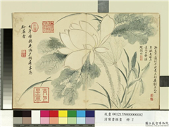 清陈书杂画　册　荷花,绘画,花草