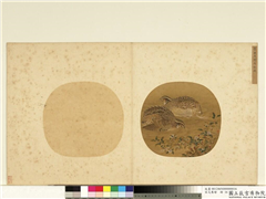 宋元集绘　册　宋李安忠野卉秋鹑,绘画,花草,翎毛