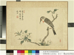 清陈书摹古山水写生　册　河阳山禽,绘画,翎毛,花草
