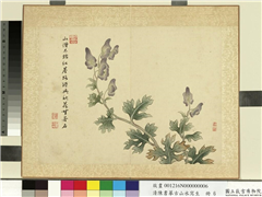 清陈书摹古山水写生　册　红尘秋花,绘画,花草