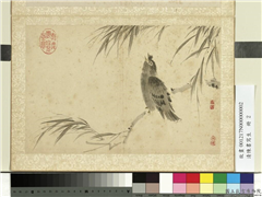 清陈书写生　册　柳枝鸜鹆,绘画,翎毛,树木