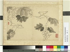 清陈书写生　册　蒲萄,绘画,果蔬