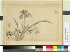 清陈书写生　册　蝴蝶花蔷薇,绘画,花草