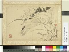清陈书写生　册　荷花慈菇,绘画,花草
