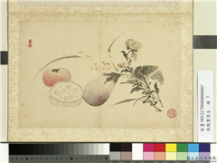 清陈书写生　册　蔬果蓝菊,绘画,果蔬,花草
