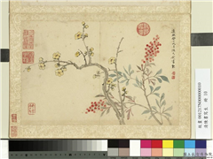 清陈书写生　册　蜡梅天竹,绘画,花草