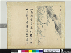 清李世倬杂画　册　柳蝉,绘画,树木,草虫