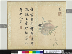 清李世倬杂画　册　榴实,绘画,果蔬