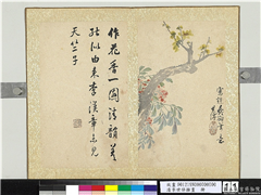 清李世倬杂画　册　蜡梅天竺,绘画,花草