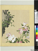 清郎世宁画仙萼长春　册　芍药,绘画,花草,山水