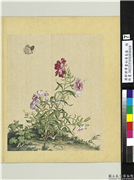 清郎世宁画仙萼长春　册　石竹,绘画,花草,草虫