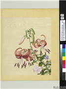 清郎世宁画仙萼长春　册　百合花缠枝牡丹,绘画,花草