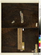 明钱谷张复合画水程图（一）　册,绘画,