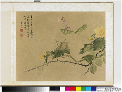 明曹有光孙杕画册　册　野卉秋虫,绘画,花草,草虫