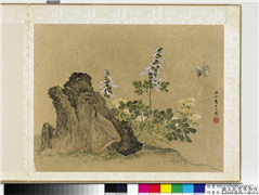 明曹有光孙杕画册　册　奇石花蝶,绘画,花草,山水,草虫