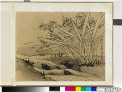 明曹有光孙杕画册　册　画水仙,绘画,花草,山水
