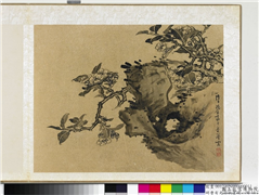 明曹有光孙杕画册　册　画海棠,绘画,山水,花草