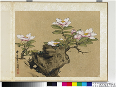 明曹有光孙杕画册　册　画茶花,绘画,花草,山水