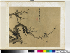 明曹有光孙杕画册　册　画梅花,绘画,花草