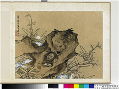 明曹有光孙杕画册　册　画竹石牵牛,绘画,山水,树木,花草
