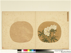 宋元集绘　册　宋李东写生秋葵,绘画,花草