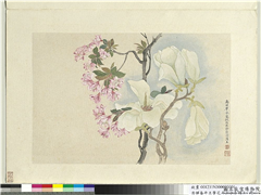 清恽寿平王翬花卉山水合册　册　辛夷,绘画,花草