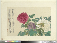 清恽寿平王翬花卉山水合册　册　牡丹,绘画,花草