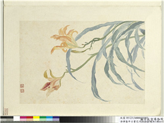 清恽寿平王翬花卉山水合册　册　萱草,绘画,花草