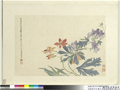 清恽寿平王翬花卉山水合册　册　射干,绘画,花草