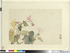清恽寿平王翬花卉山水合册　册　秋海棠,绘画,花草