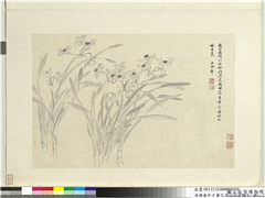 清恽寿平王翬花卉山水合册　册　水仙,绘画,花草