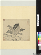 历代名绘　册　 明顾瑛蔬菜,绘画,果蔬,花草
