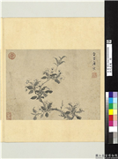 历代名绘　册　 明唐寅梨花,绘画,花草