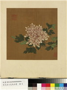 宋元名人花鸟合璧　册　宋黄居寀芍药,绘画,花草