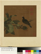 宋元名人花鸟合璧　册　唐边鸾秋实山禽,绘画,翎毛,果蔬