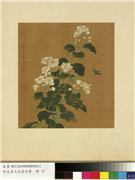宋元名人花鸟合璧　册　明仇英花卉草虫,绘画,花草,草虫