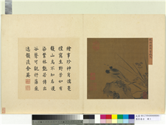 集珍寿古　册　宋赵伯驌野芳山鸟,绘画,翎毛,花草