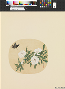 画幅集册　册　清蒋廷锡花卉,绘画,花草,草虫