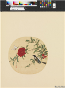 画幅集册　册　清蒋廷锡花卉,绘画,花草,翎毛,草虫