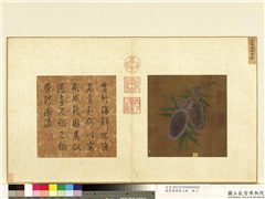 烟云集绘第三册　册　宋徽宗海鲜贯竹,绘画,树木,水中动植物