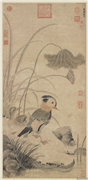 元张中枯荷鸂鶒　轴,绘画,翎毛,花草,山水